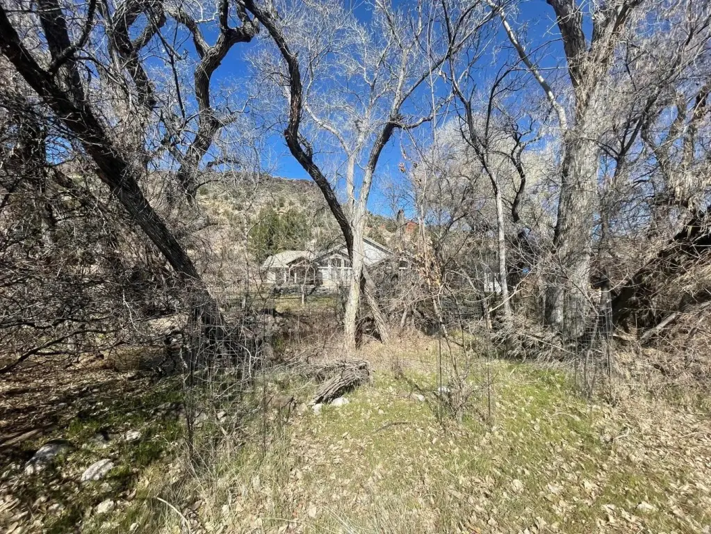 Picture 29