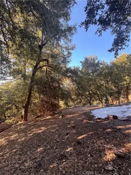 Twin Peaks Land Opportunity