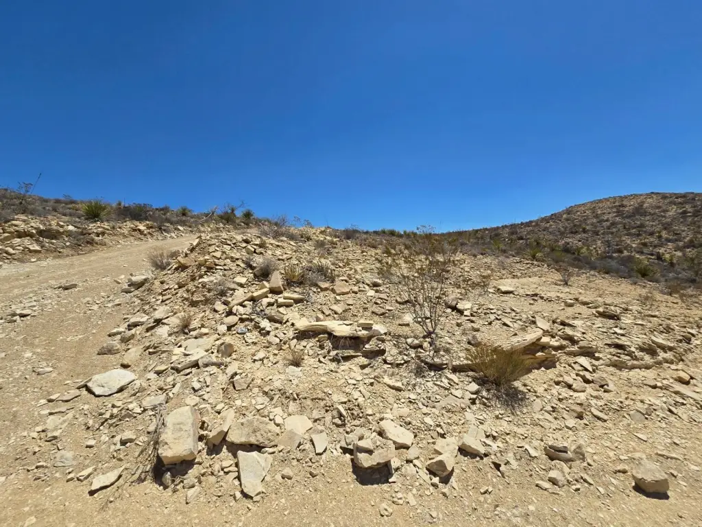 Picture 6
