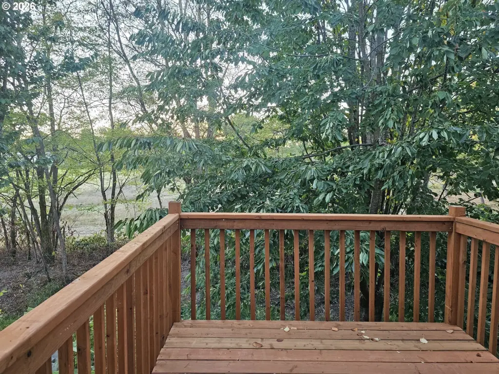 Picture 24
