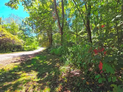 Waynesville Wooded Land For Sale