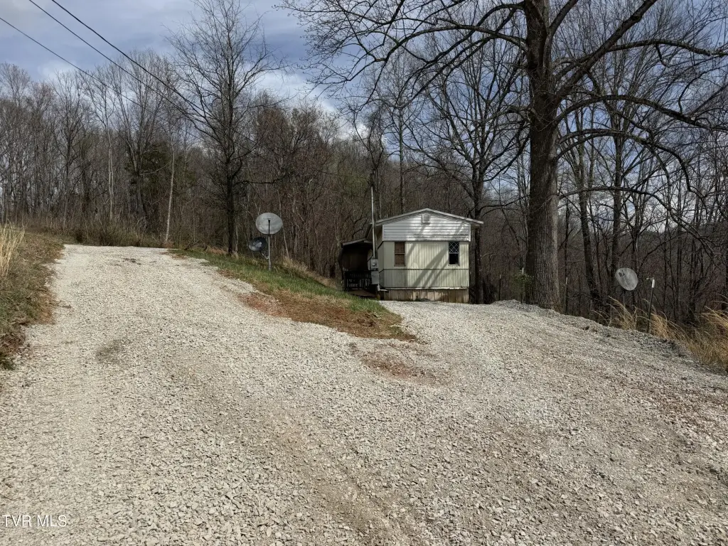 Picture 5