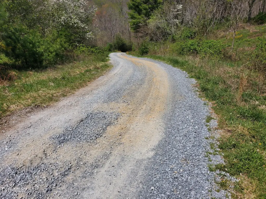 Picture 12