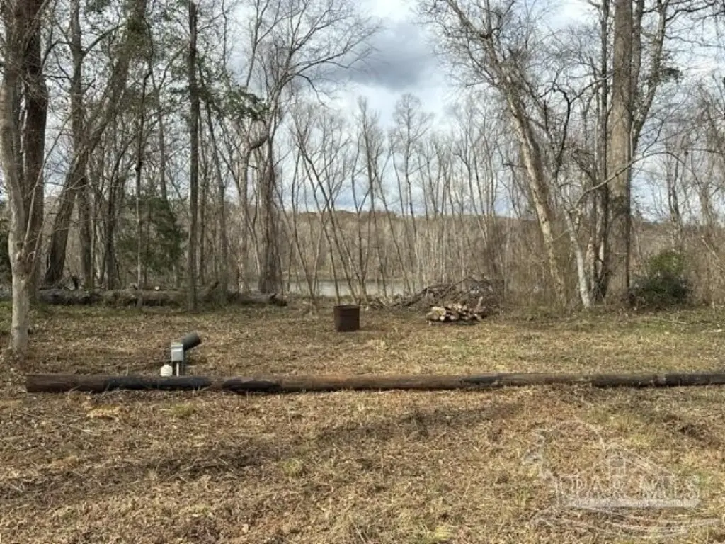 Picture 17