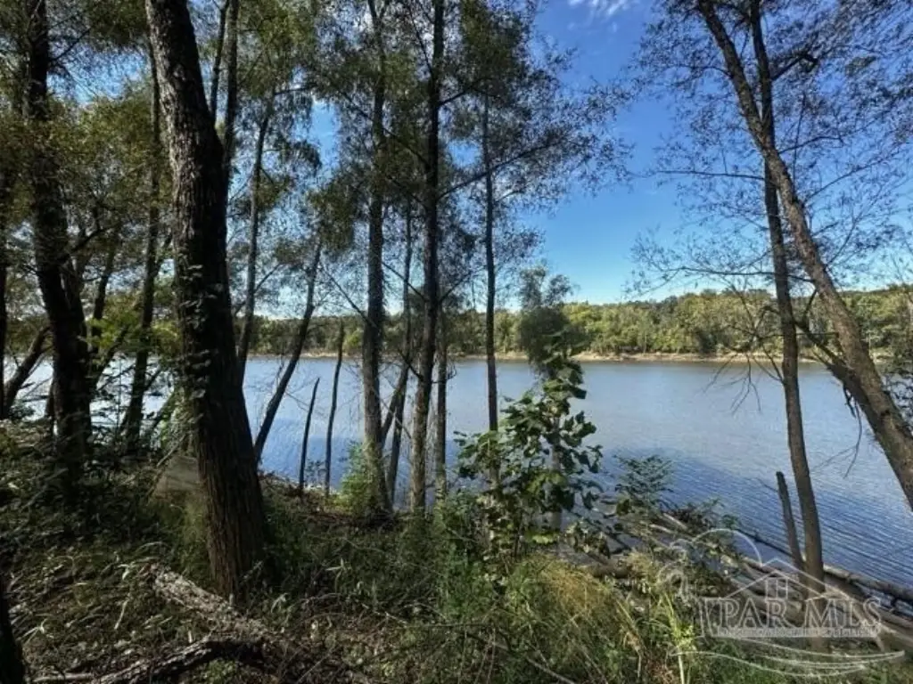 Picture 4