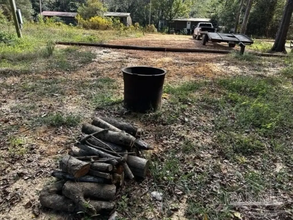 Picture 5