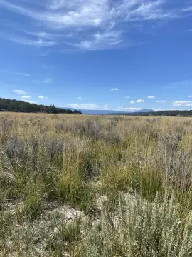 Waterfront Residential Lots in Sprague