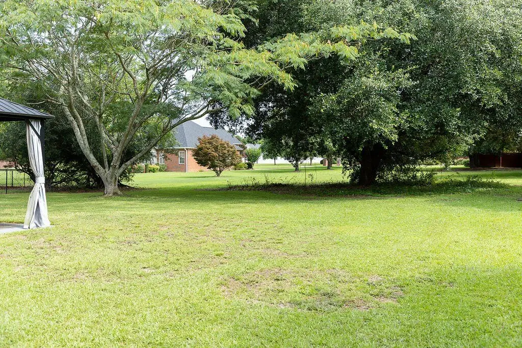 Picture 28