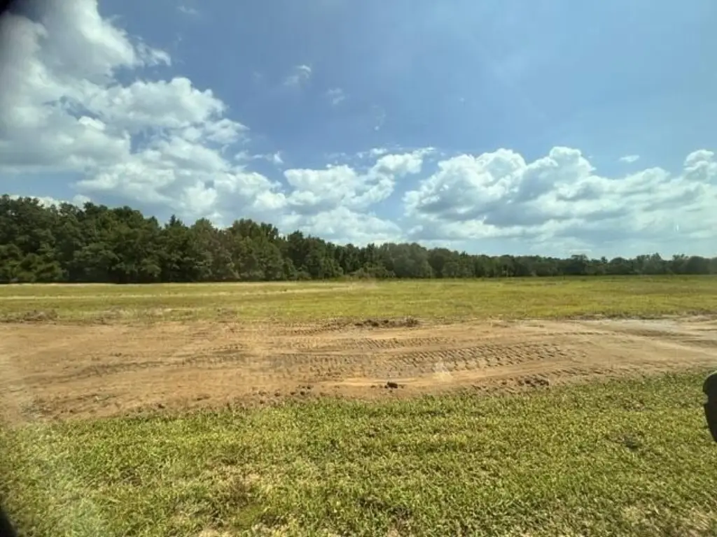Picture 3