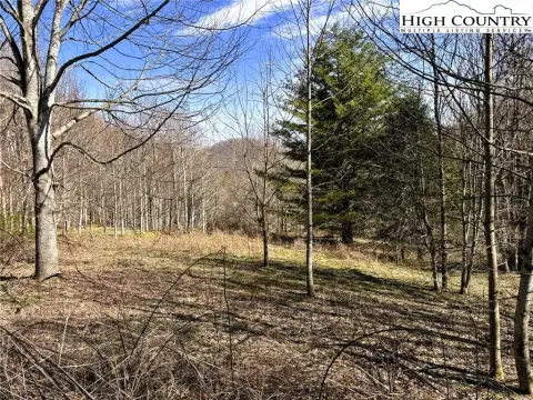 Level Lot in Banner Elk