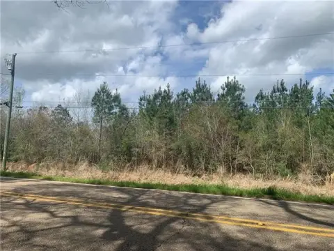 Large Vacant Land Opportunity