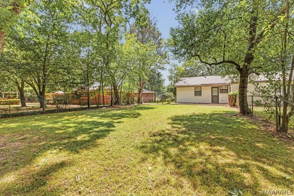 Picture 23