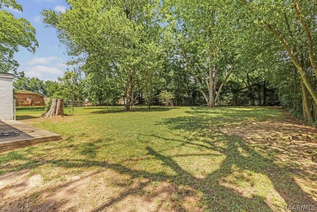 Picture 20
