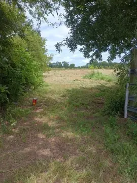 Land For Sale in Wills