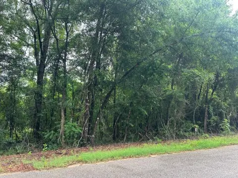 Residential Land in Newton, AL