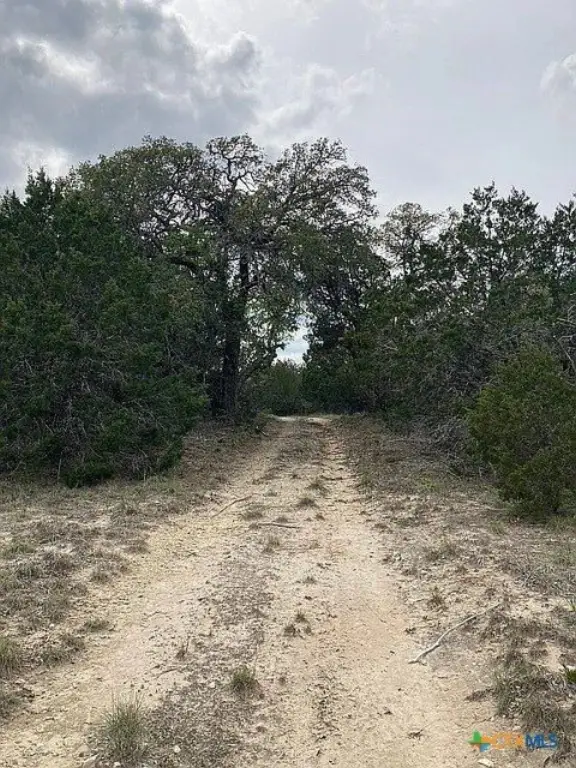 Picture 16