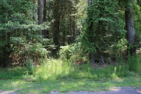 Wooded Lot in Growing Community