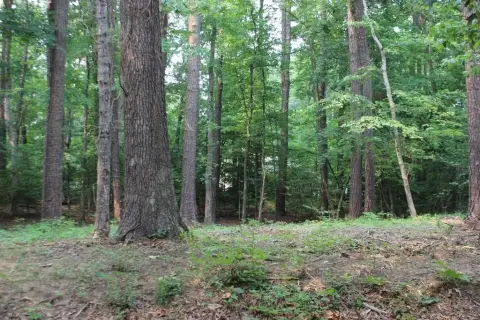 Wooded Lot in Captains Cove