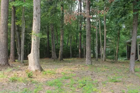 Wooded Lot in Captains Cove