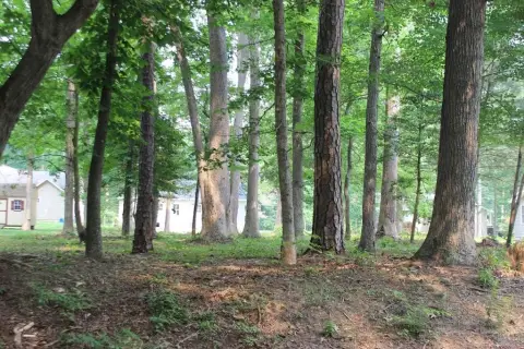 Wooded Lot in Captains Cove
