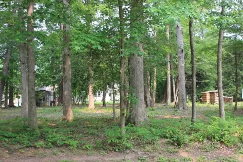 Wooded Lot in Captains Cove