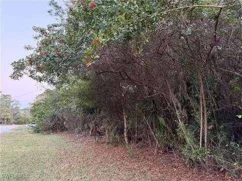 Labelle, FL Land For Sale