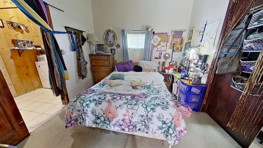Picture 19