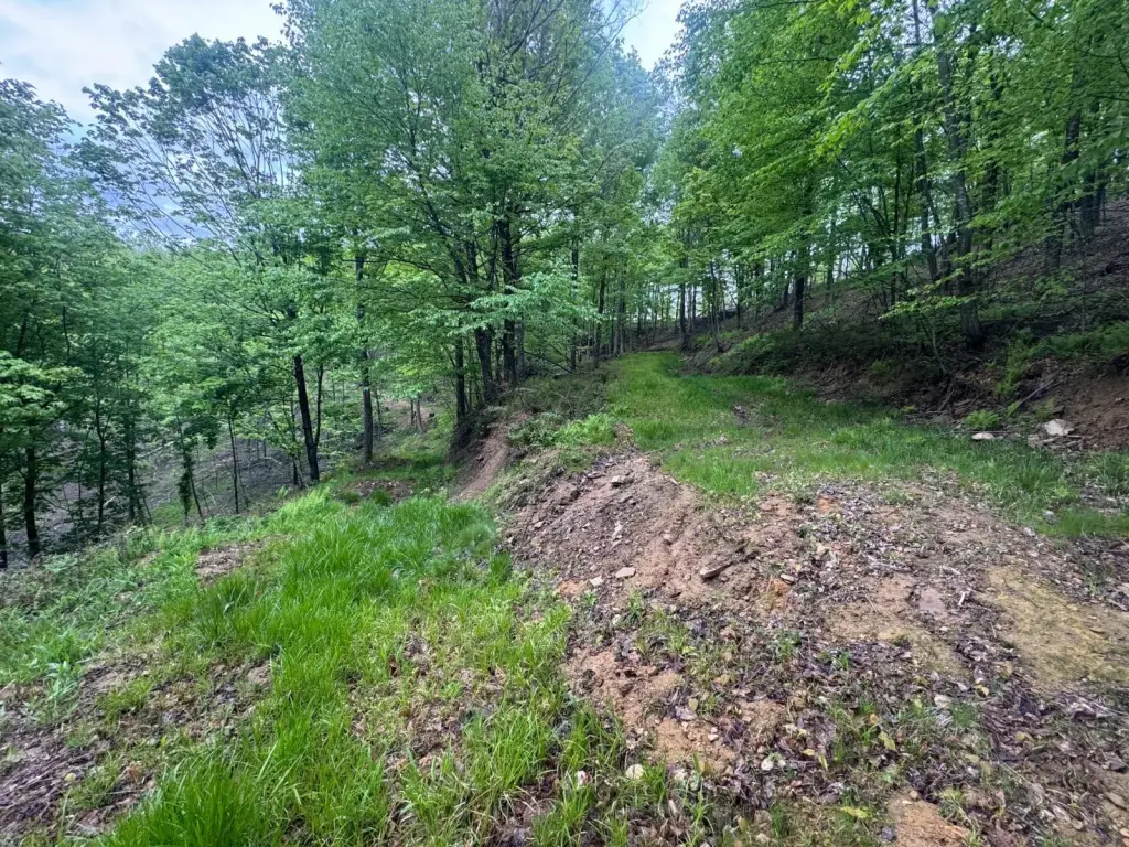 Picture 28