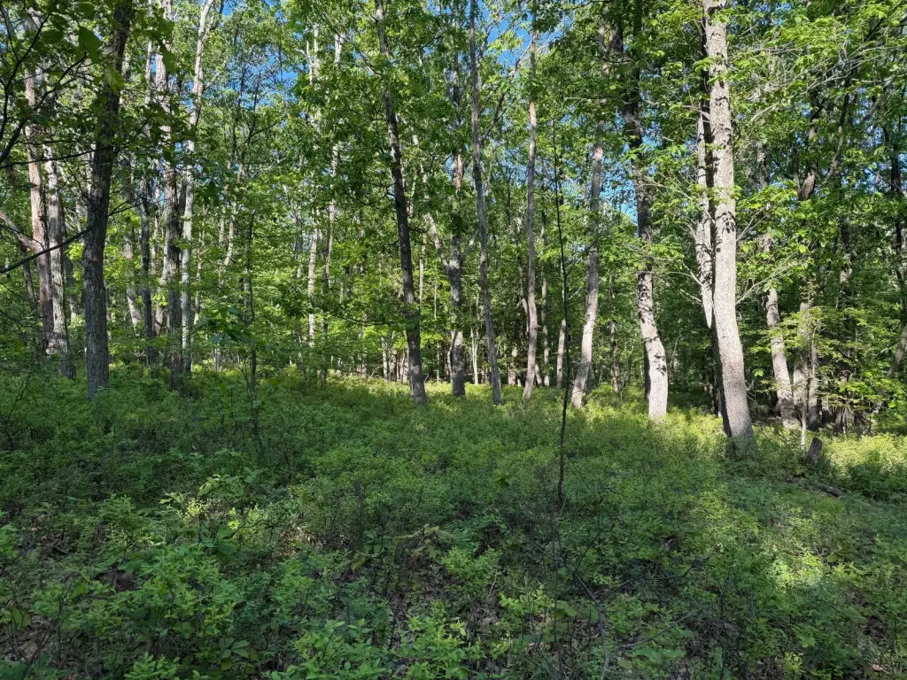 Picture 23