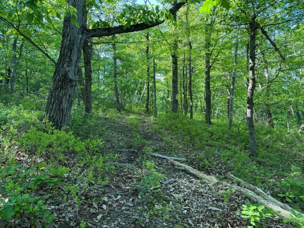 Picture 32