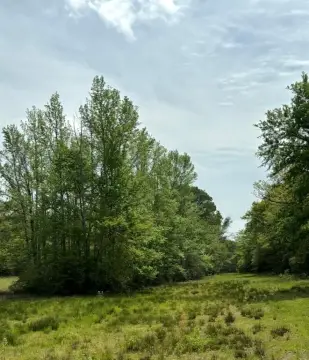 Oakwood Ranch Land For Sale