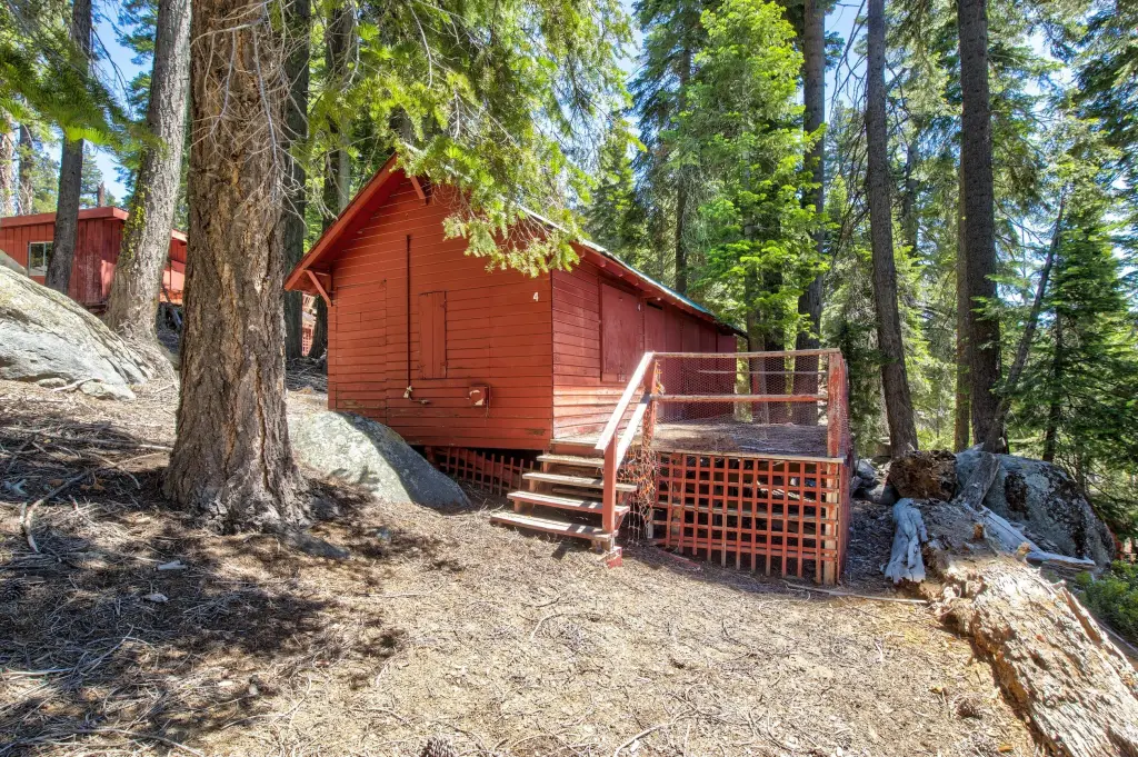 Picture 35
