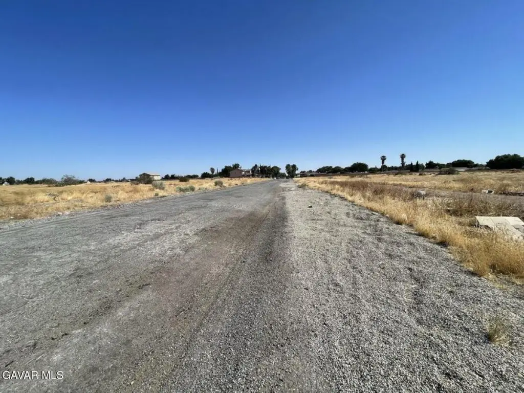 Picture 5