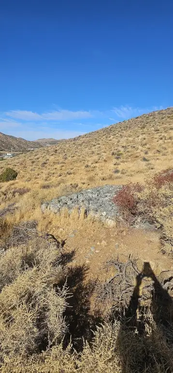 Picture 3