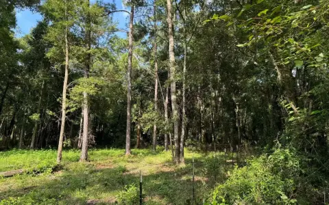 Vacant Land in Lake City
