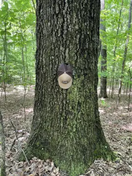 Greenwood Springs Land Opportunity