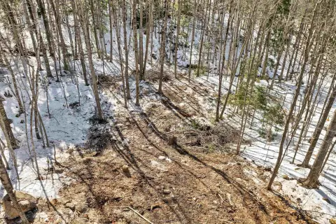 Cleared Lot in Copple Crown
