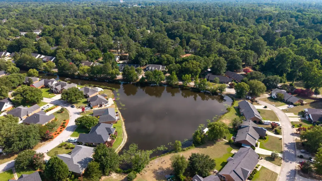 Picture 41