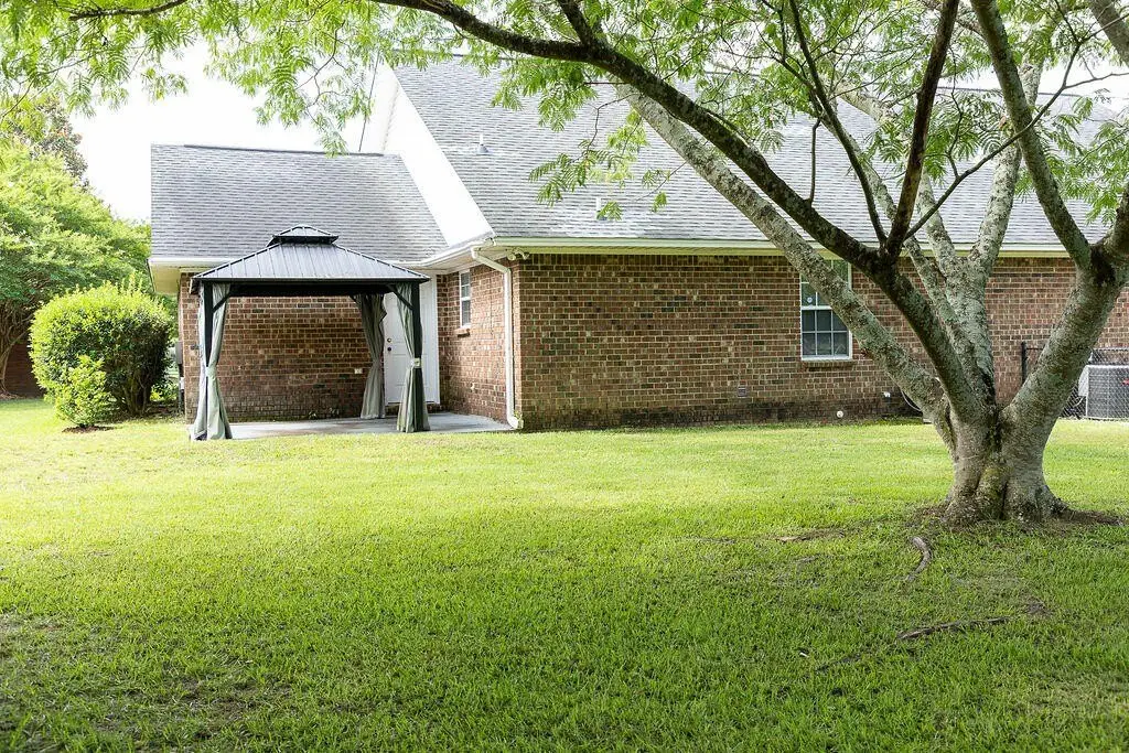 Picture 21