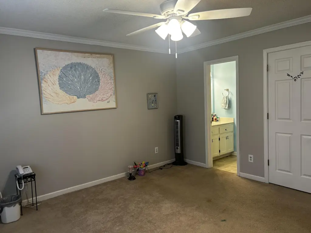 Picture 24