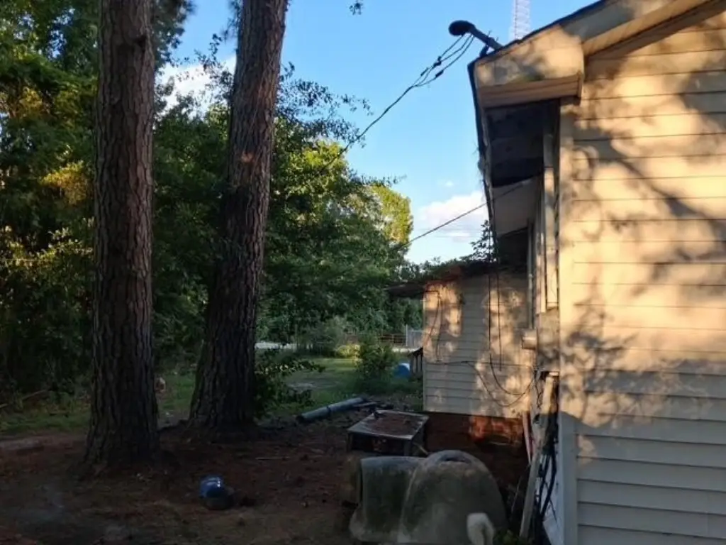 Picture 24