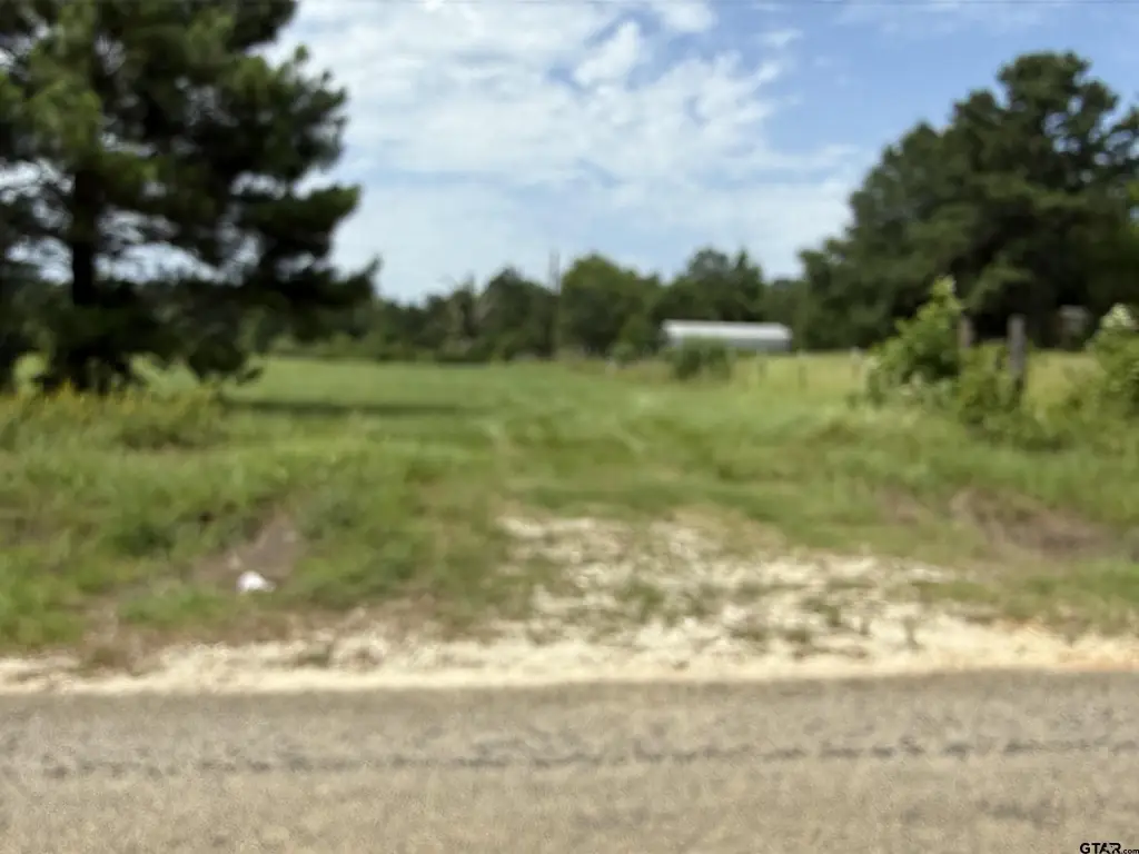 Picture 19