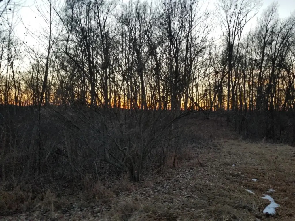 Picture 19