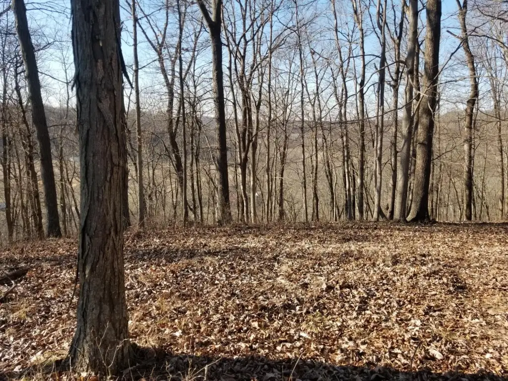 Picture 18