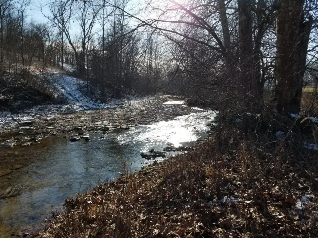 Picture 48