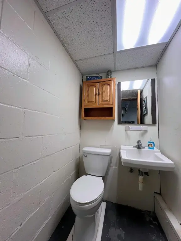 Picture 11
