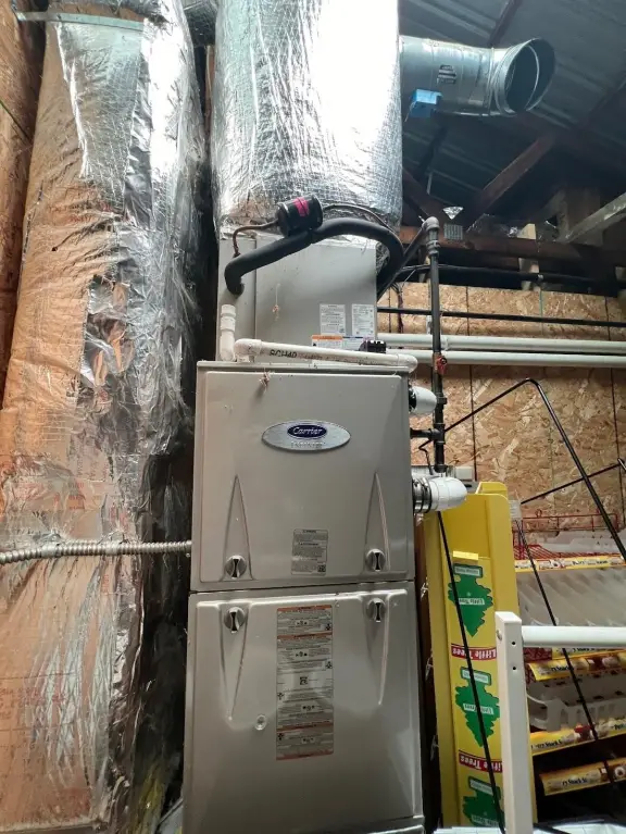 Picture 15