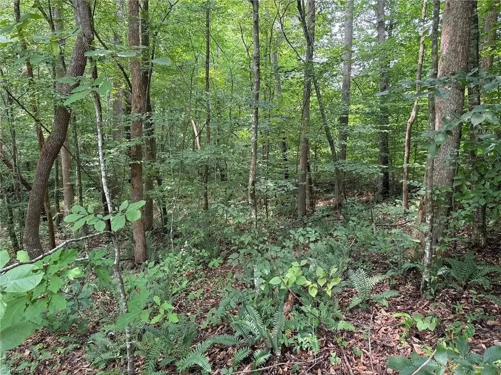 Picture 29