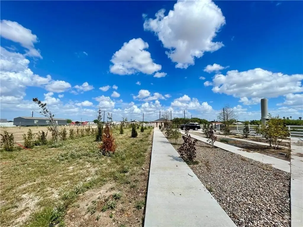 Picture 10