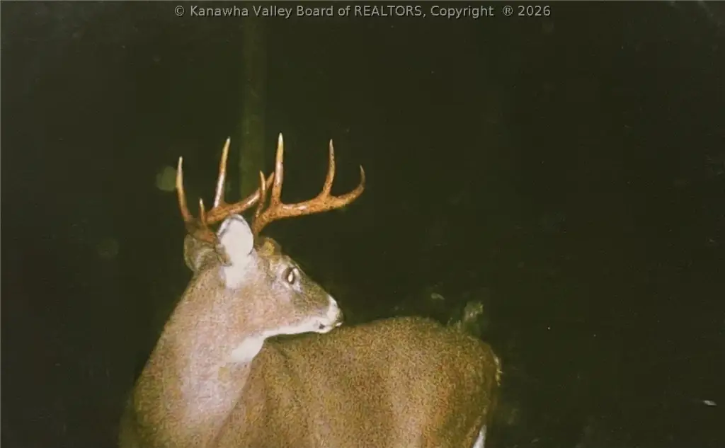 Picture 30